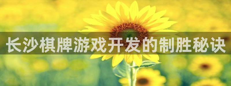 沐鸣2代理注册
