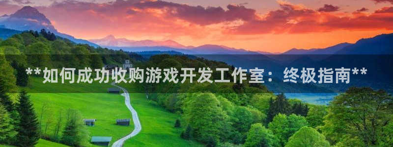 沐鸣2官网注册地址：**如何成功收购游戏开发工作室：终极指南**
