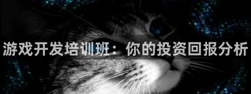 沐鸣2选 37OO735：游戏开发培训班：你的投资回报分析