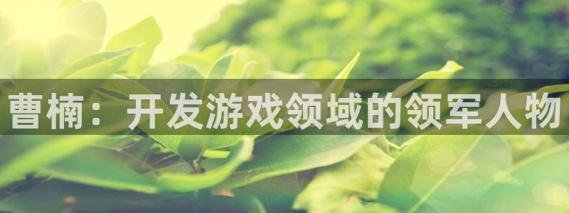 沐鸣娱乐2测速登陆：曹楠：开发游戏领域的领军人物