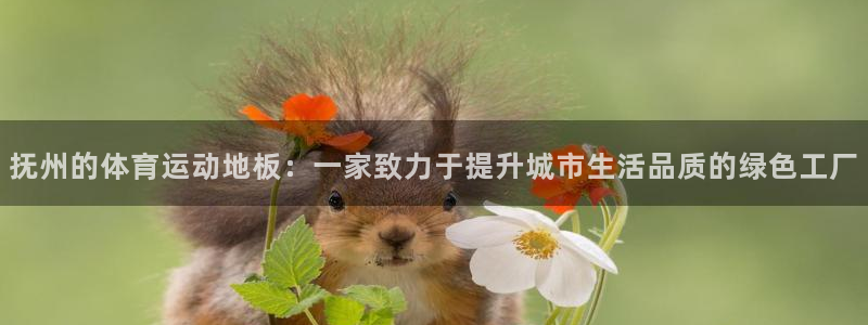 oety欧亿