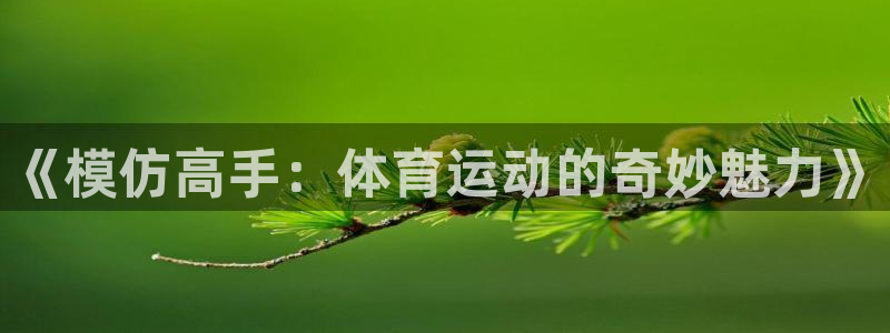 oety欧亿