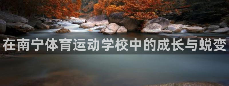oety欧亿