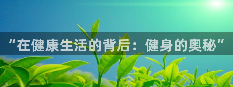 oety欧亿