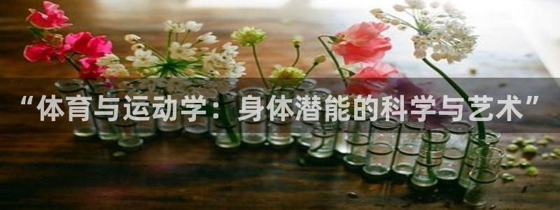 oety欧亿