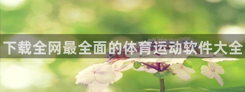 oety欧亿