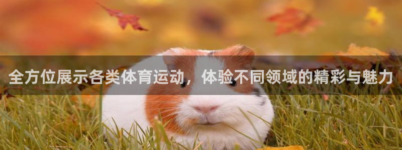 oety欧亿