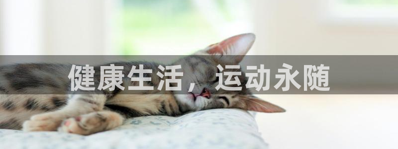 oety欧亿