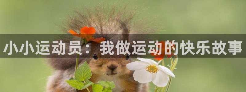 oety欧亿