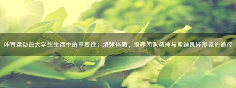 oety欧亿