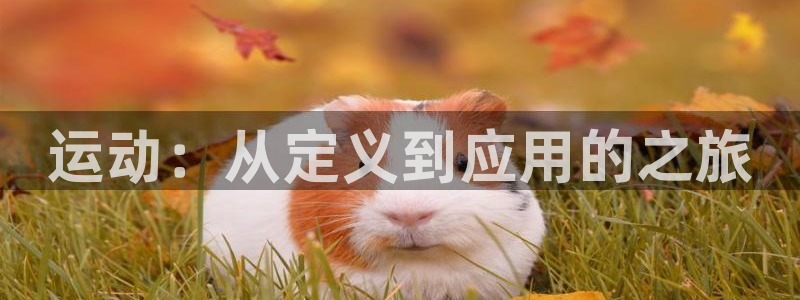 oety欧亿