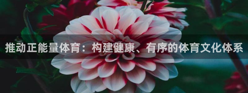 oety欧亿