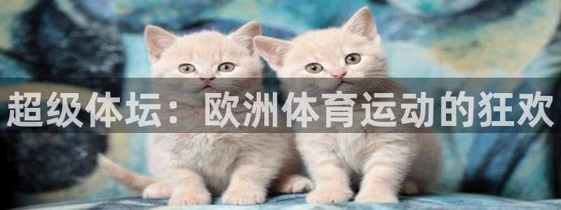 oety欧亿
