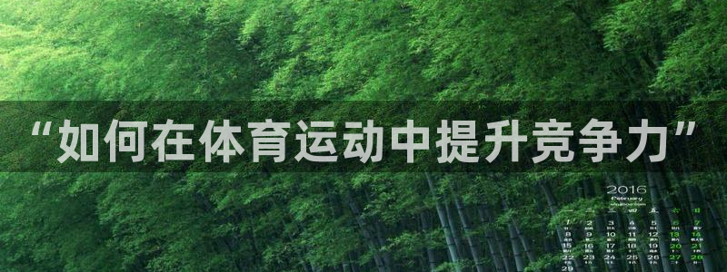 oety欧亿