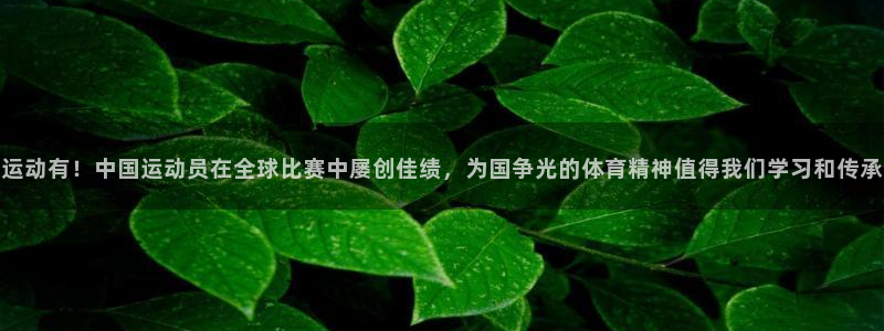 oety欧亿