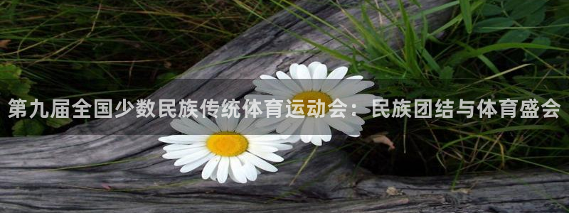 oety欧亿