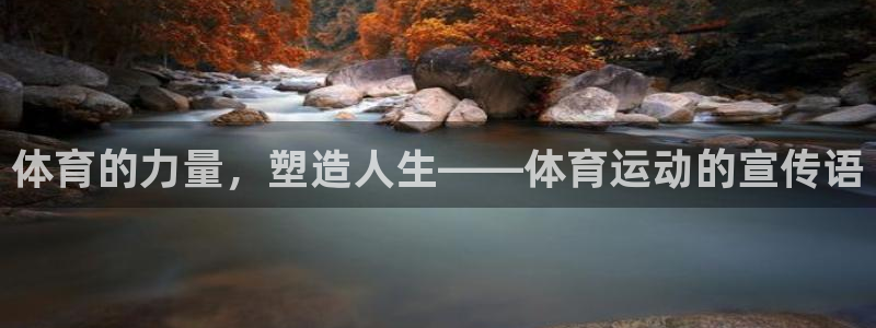 oety欧亿