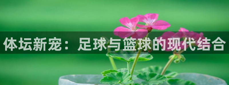 oety欧亿