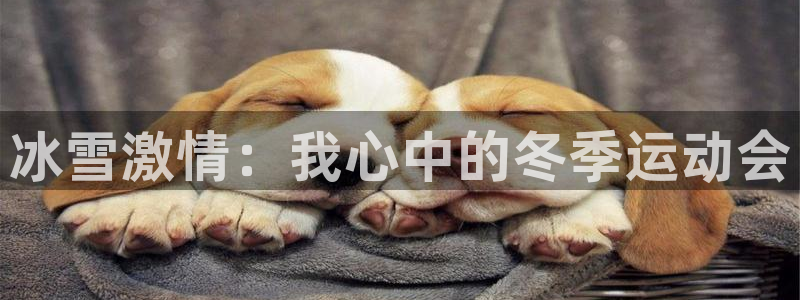 oety欧亿