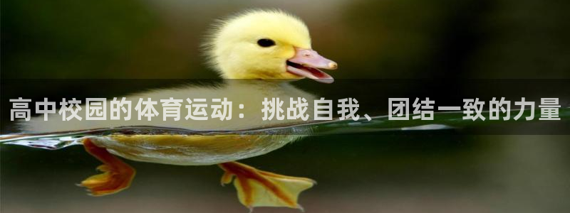 oety欧亿