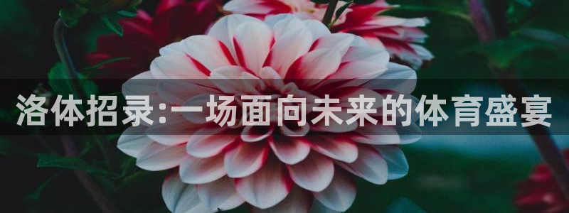 oety欧亿