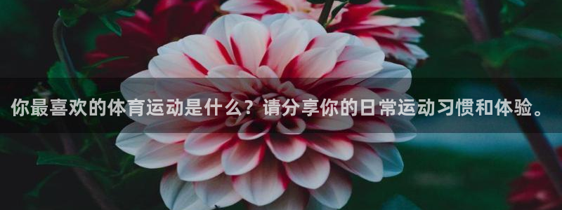 oety欧亿