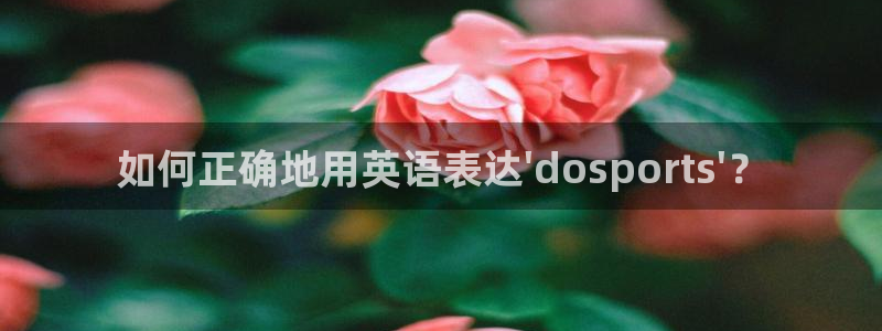 oety欧亿