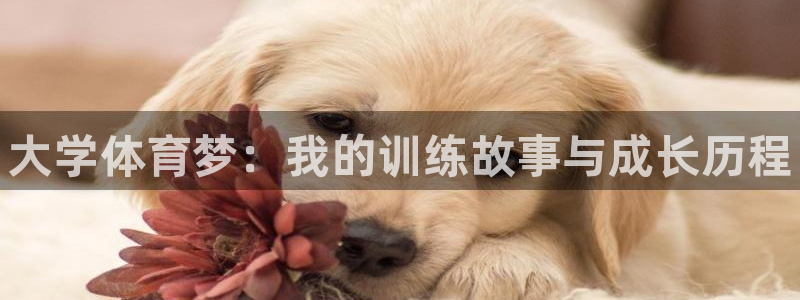 oety欧亿